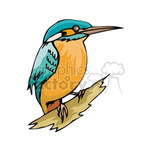 Tropical bird perched in tree clipart. Commercial use image # 130698