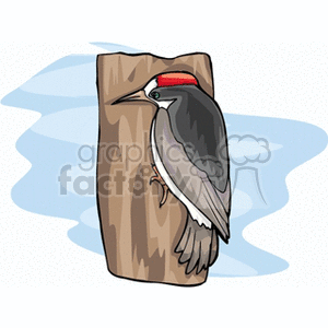 Woodpecker on the side of a tree clipart. Commercial use image # 130732