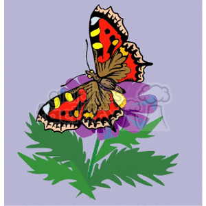   butterfly butterflies insect insects  butterfly02.gif Clip Art Animals Butterflies 