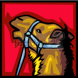 camel head with a blue harness in a red background clipart. Commercial use image # 130818