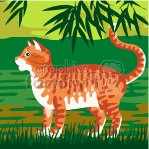 Orange tabby cat outside standing in green grass clipart.