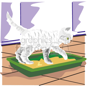 White kitten standing in litter box clipart. Commercial use image # 131119
