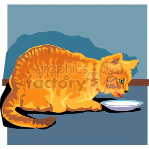 Orange cat drinking milk from a dish clipart. Royalty-free image # 131121