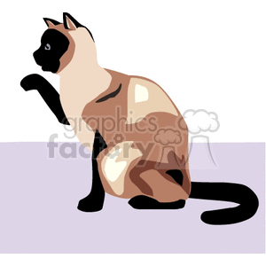 Siamese cat holding up one paw clipart. Commercial use image # 131131