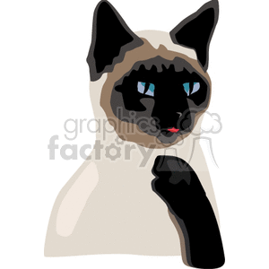 Siamese cat licking its paw animation. Commercial use animation # 131133