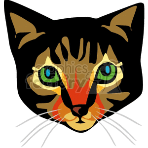 Close-up of brown tabby cat with bright green eyes clipart. Commercial use image # 131135