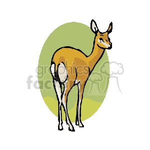Rear facing white-tailed doe clipart. Royalty-free image # 131225