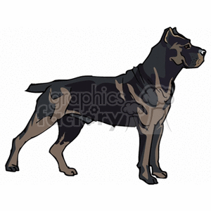 Black Pit bull clipart. Royalty-free image # 131707