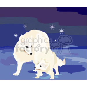 white_fox02 clipart. Commercial use image # 131825