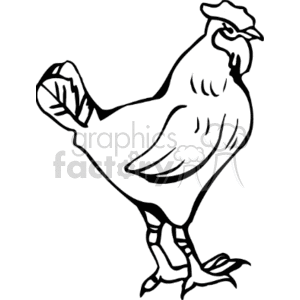   farm farms animals rooster roosters chicken chickens  PAB0112.gif Clip Art Animals Farm 