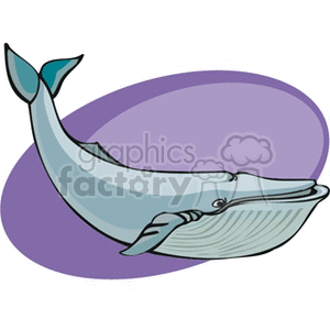   fish animals whale whales  cachalot4.gif Clip Art Animals Fish 