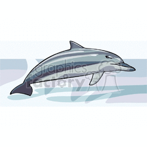 dolphin clipart. Royalty-free image # 132335