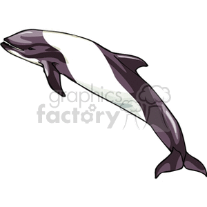 dolphin clipart. Commercial use image # 132337