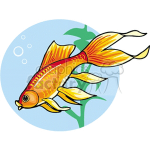 yellow Betta swimming in seaweed clipart. Commercial use image # 132487