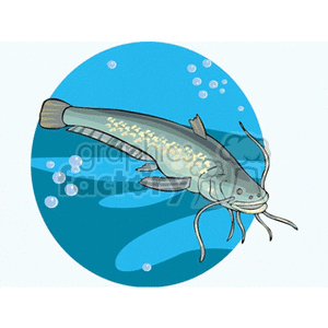 Catfish clipart. Commercial use image # 132578