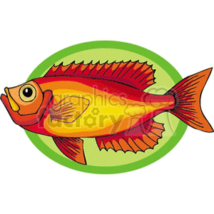 fish82
