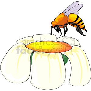   insect insects bee bees bug bugs  animals016.gif Clip Art Animals Insects 