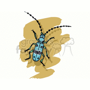 Blue insect beetle 
