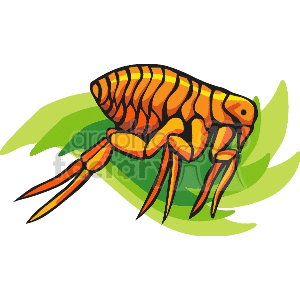   insect insects bug bugs flea fleas  flea0001.gif Clip Art Animals Insects 