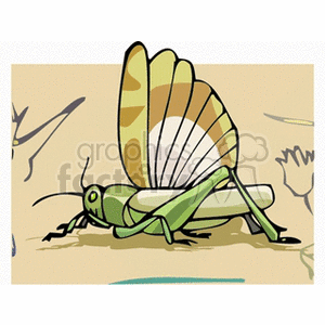 katydid3 clipart. Commercial use image # 133019