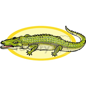 alligator4 clipart. Royalty-free image # 133107