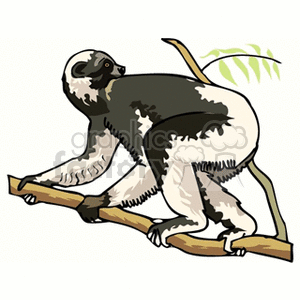 sloth climbing clipart. Royalty-free image # 133222