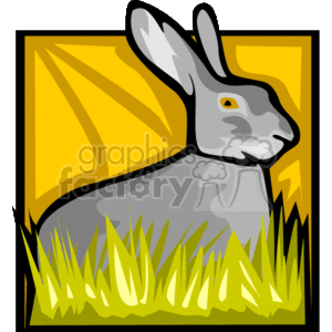 clipart - Grey rabbit sitting in grass framed.
