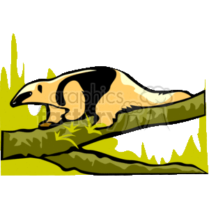 rodent rodents animals anteater anteaters Clip Art Animals Rodents jungle tree crawling branch 