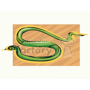 snake22