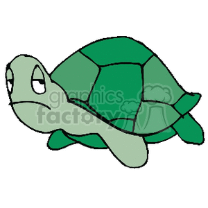 grumpy turtle clipart. Commercial use image # 133604