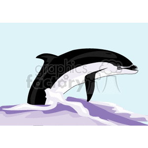 black and white dolphin clipart. Commercial use image # 133614