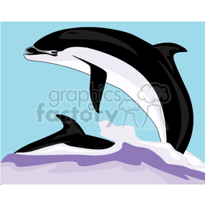 two black and white dolphins clipart. Commercial use image # 133616
