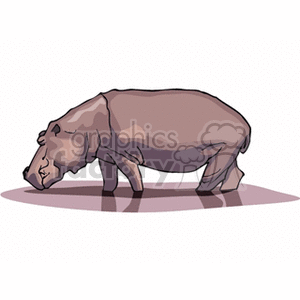 hipo drinking muddy water clipart. Royalty-free image # 133630