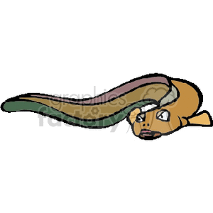clipart - brown eel.
