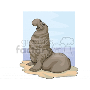 elephant seal on beach clipart. Royalty-free image # 133653