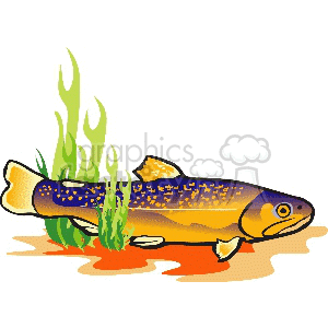 golden seatrout clipart. Royalty-free image # 133655