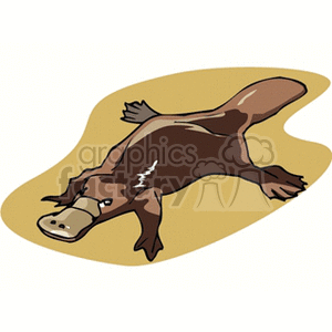light and dark brown platypus clipart. Commercial use image # 133708