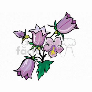 flower351212 clipart. Royalty-free image # 151362
