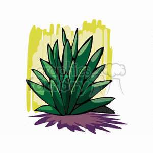 Aloe vera plant clipart. Commercial use image # 151380