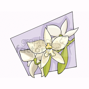 flower51212 clipart. Commercial use image # 151410