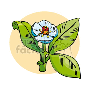 flower57 clipart. Commercial use image # 151422