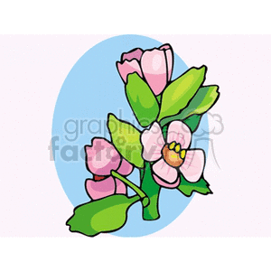 flower59 clipart. Royalty-free image # 151426