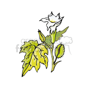 flower6 clipart. Royalty-free image # 151428