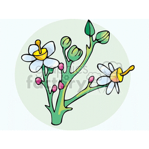 flower70 clipart. Royalty-free image # 151452