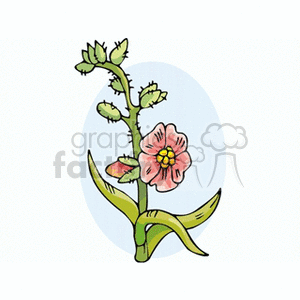flower71 clipart. Commercial use image # 151458