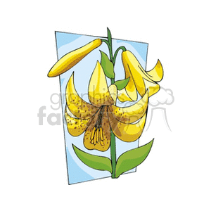 flower71212 clipart. Royalty-free image # 151460