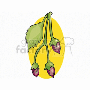flower74 clipart. Royalty-free image # 151466