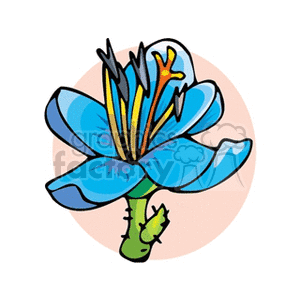 flower75 clipart. Royalty-free image # 151468