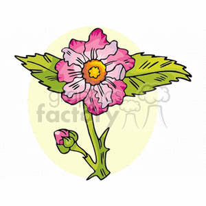 flower78 clipart. Royalty-free image # 151474