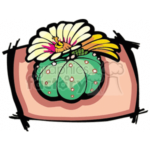 cactus24 clipart. Royalty-free image # 151910
